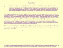 Tablet Screenshot of masanx.atspace.eu